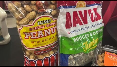 Baseball fans find ways to save money on food and gear for game days